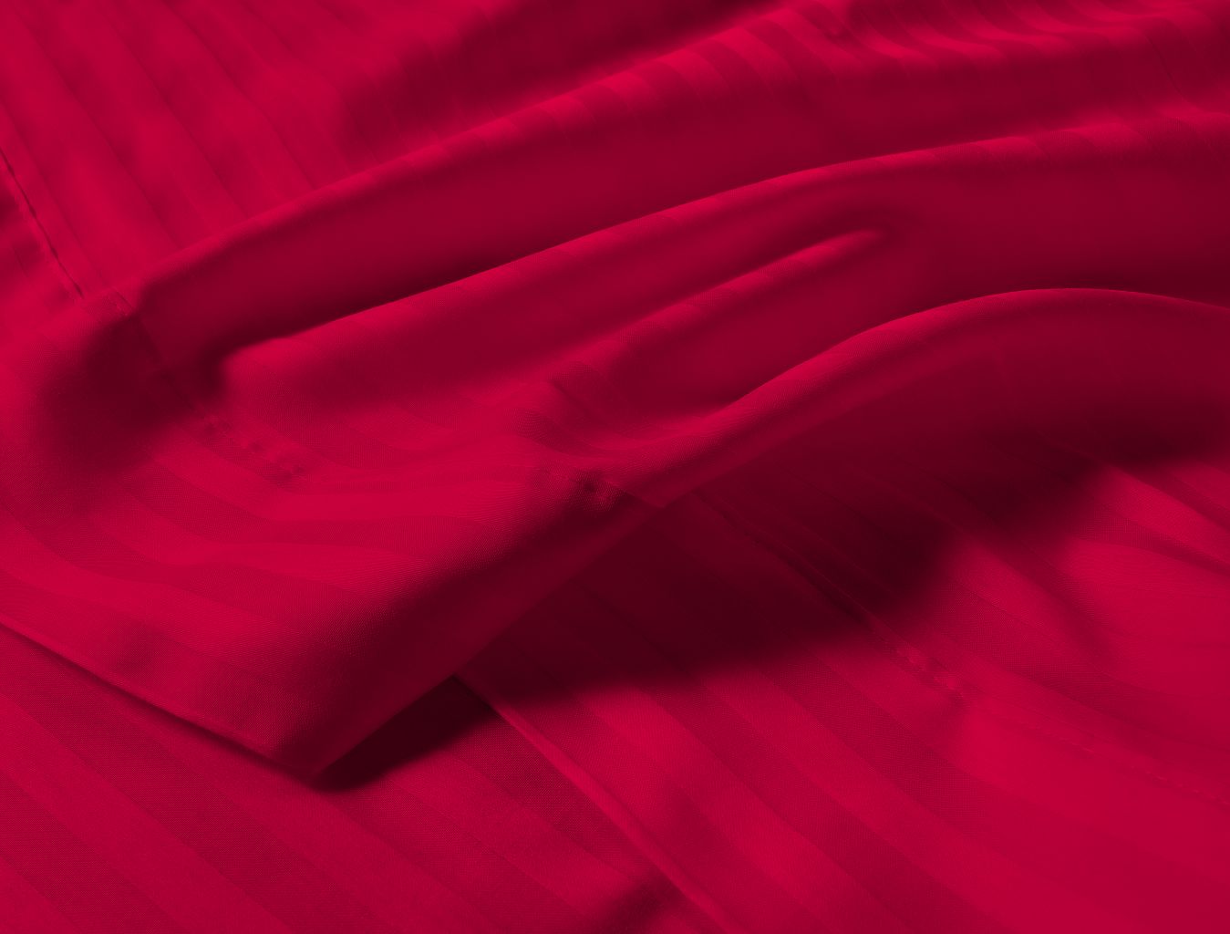 250 TC 100% Egyptian Cotton Collection