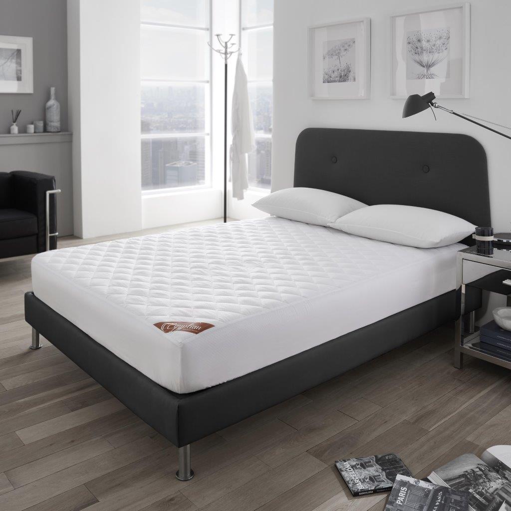 Beautyrest ultra newton firm full mattress top